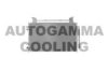 AUTOGAMMA 107179 Condenser, air conditioning